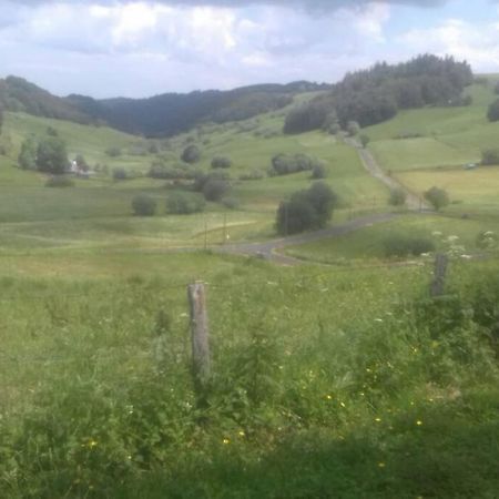 Chalet En Pleine Nature Pour 12 Personnes 贝斯和圣阿纳斯泰斯 外观 照片